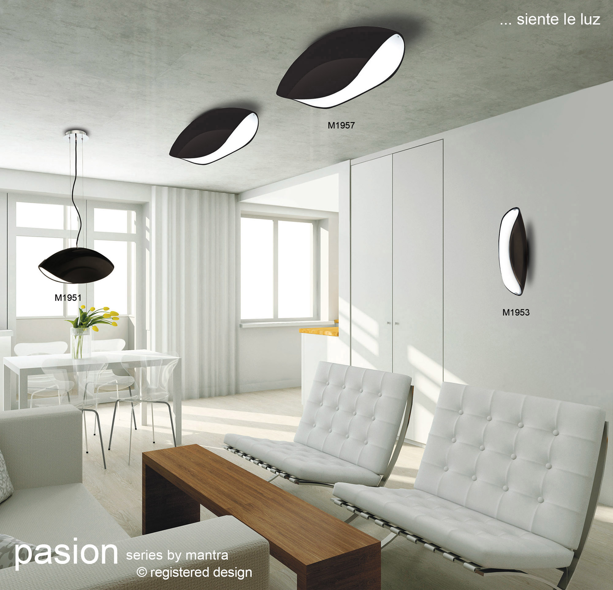 Pasion Ceiling Lights Mantra Single Pendant